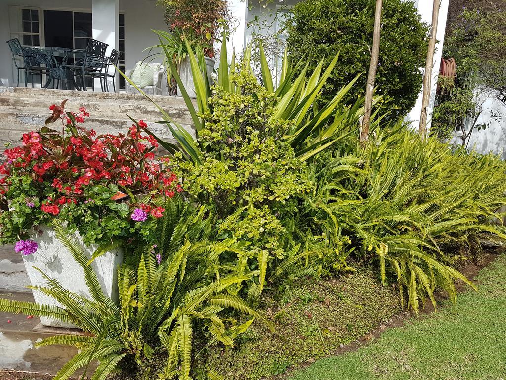 Green Park Manor Joanesburgo Exterior foto